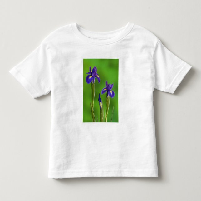 Camiseta Infantil Flores de Íris (Frente)
