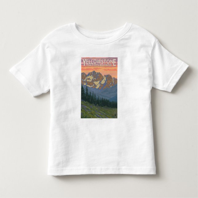 Camiseta Infantil Flores do primavera - parque nacional de (Frente)
