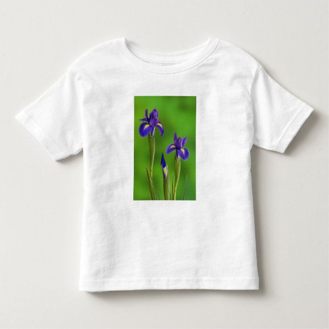 Camiseta Infantil Flores Iris (Frente)