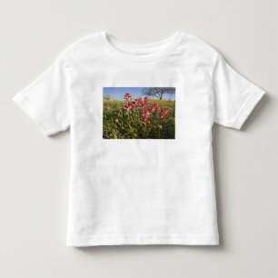 Camiseta Infantil Flores silvestres à beira da estrada no Texas, pri