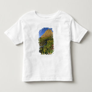 Camiseta Infantil Flores silvestres alpinas & Mt Clements em Logan P