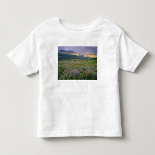 Camiseta Infantil Flores silvestres da pradaria ao longo do Lago She