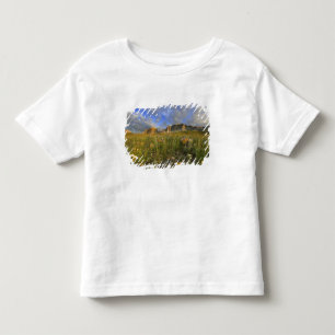 Camiseta Infantil Flores Silvestres da Pradaria em Windy Creek no Ma