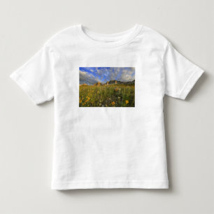 Camiseta Infantil Flores Silvestres da Pradaria em Windy Creek no Ma