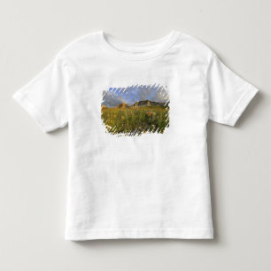 Camiseta Infantil Flores Silvestres da Pradaria no Vale de Many Glac