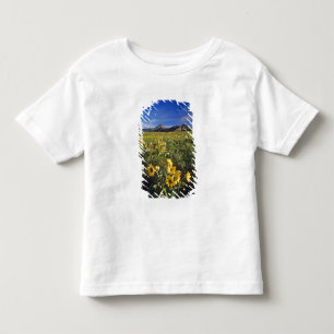 Camiseta Infantil Flores silvestres de balsomroot de folha de seta e