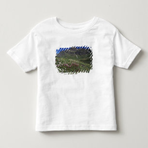 Camiseta Infantil Flores silvestres, florescendo, Alpes, Suíça