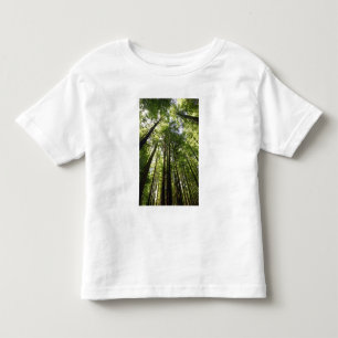 Camiseta Infantil Floresta de Redwood, Rotorua, Nova Zelândia