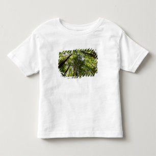 Camiseta Infantil Floresta de Redwood, Rotorua, Nova Zelândia 2