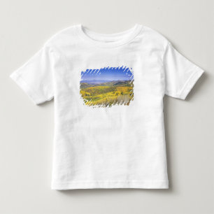 Camiseta Infantil Floresta Nacional de Roteiros no outono, próximo