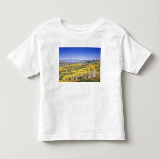 Camiseta Infantil Floresta Nacional de Roteiros no outono, próximo (Frente)