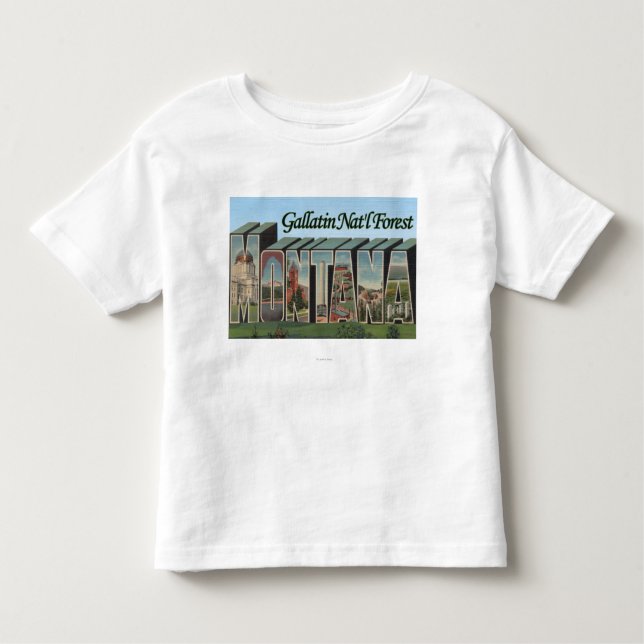 Camiseta Infantil Floresta nacional do Gallatin, Montana (Frente)