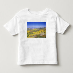 Camiseta Infantil Floresta Nacional Routt no outono, perto