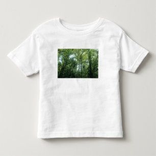 Camiseta Infantil Floresta Nubosa de Monteverde, Costa Rica.
