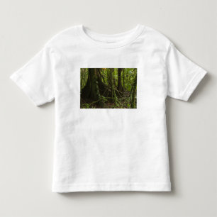 Camiseta Infantil Floresta tropical, Rio Mapari Norte Rupununi,