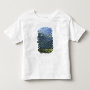 Camiseta Infantil Florestas de Himalaia e de terras agrícolas no val