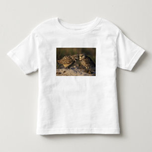 Camiseta Infantil Flórida, Fort Myers. Casal de Coruja-buraqueira se