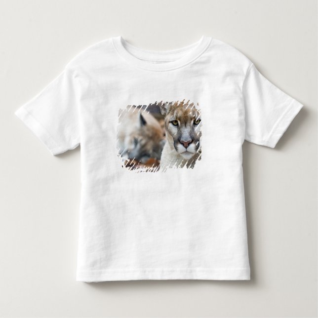 Camiseta Infantil Flórida Panther (Frente)