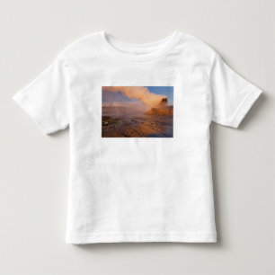 Camiseta Infantil Fly Geyser no Deserto de Black Rock