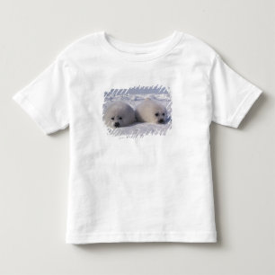 Camiseta Infantil Foca-da-groenlândia (Phoca groenlandica) Filhotes