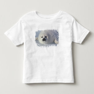 Camiseta Infantil Foca da Groenlândia (Phoca groenlandica) Uma cria
