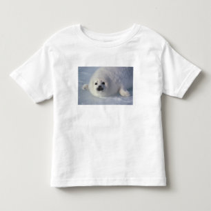 Camiseta Infantil Foca da Groenlândia Phoca groenlandica) Uma foca d