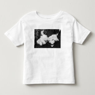 Camiseta Infantil fofa para baixo
