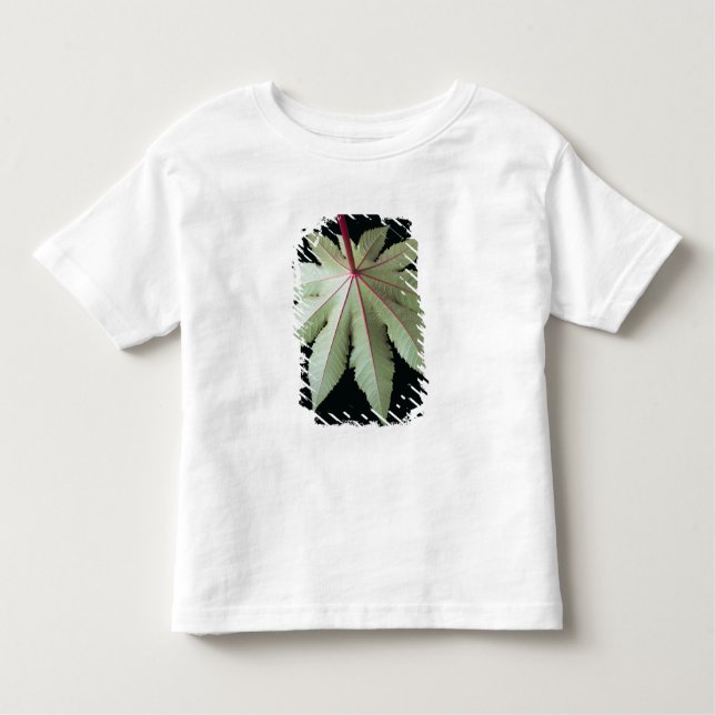 Camiseta Infantil Folha e haste (Frente)