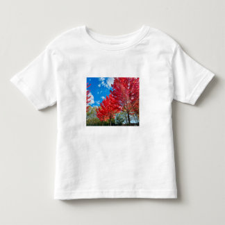 Camiseta Infantil Folhas De Árvore Vermelha Brilhante No Outono