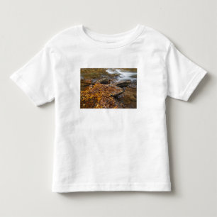 Camiseta Infantil Folhas de outono ao longo do Looking Glass Creek n