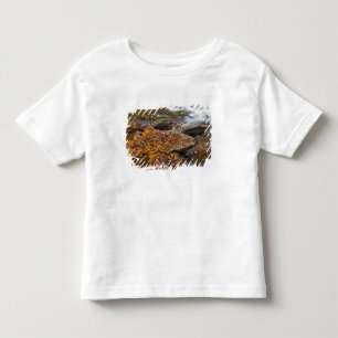 Camiseta Infantil Folhas de outono ao longo do Looking Glass Creek n