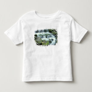 Camiseta Infantil Fonte de Samambaia, Parque Nacional de Yosemite