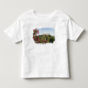 Camiseta Infantil Fora do vale dos templos