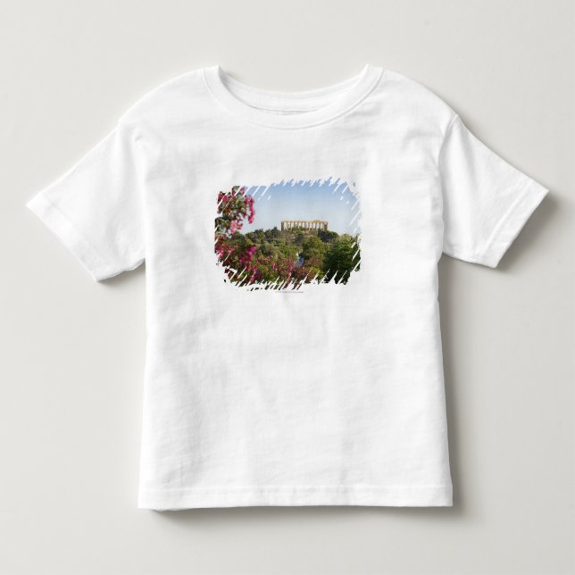 Camiseta Infantil Fora do vale dos templos (Frente)