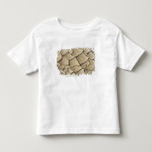 Camiseta Infantil Formação de Lama Rachada no chão do vale de 2