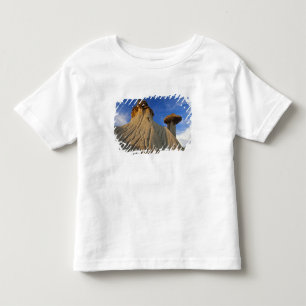 Camiseta Infantil Formações de Badlands no Parque Estadual Makoshika
