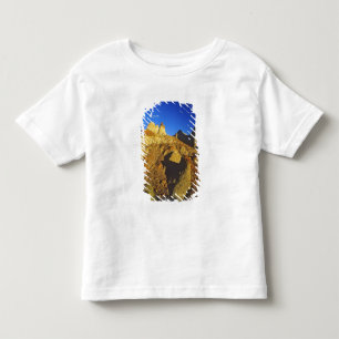 Camiseta Infantil Formações de Badlands no Parque Provincial Dinosau