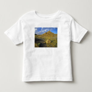 Camiseta Infantil Formações de Badlands no Parque Provincial dos Din