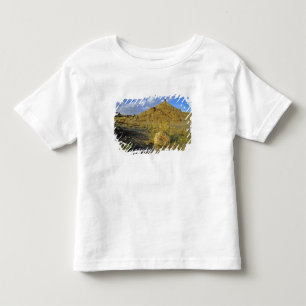 Camiseta Infantil Formações de Badlands no Parque Provincial dos Din