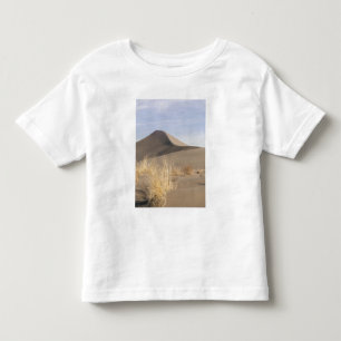 Camiseta Infantil Formações de dunas de areia. Bruneau Dunes State P