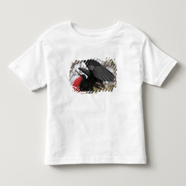 Camiseta Infantil Fragata Magnífica (Frente)