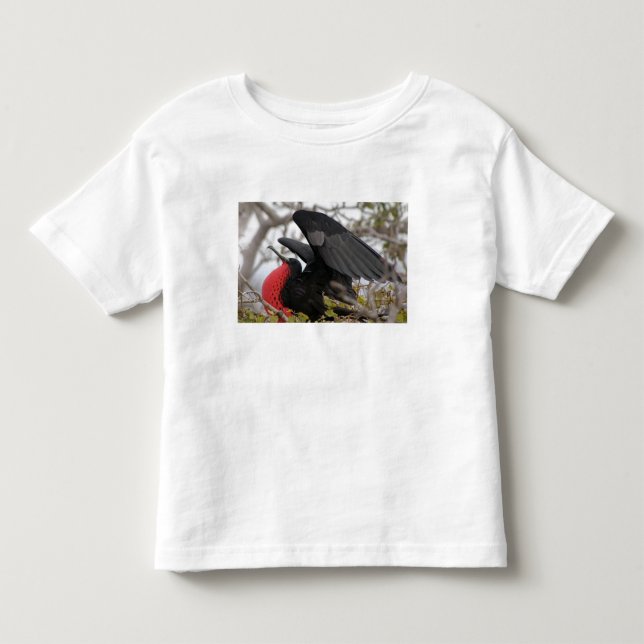 Camiseta Infantil Fragata Magnificente (Frente)