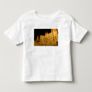 Camiseta Infantil França, Avinhão, Provença, Palácio Papal à noite