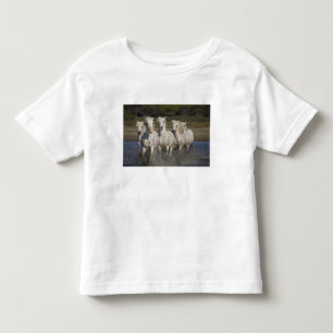 Camiseta Infantil França, Camargue. Cavalos correm