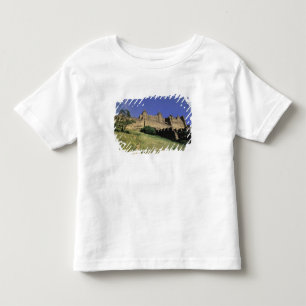 Camiseta Infantil FRANÇA, Languedoc Carcassonne