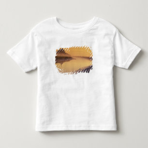 Camiseta Infantil FRANÇA, Normandia Mont St. Michel. Luz da Manhã