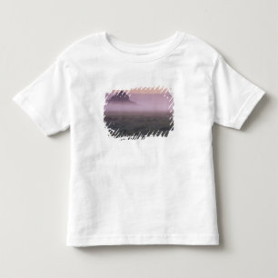 Camiseta Infantil FRANÇA, Normandia Mont St. Michel. Névoa da Manhã