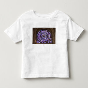 Camiseta Infantil França, Paris. Detalhe interior de vitral
