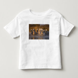Camiseta Infantil França, Provença. Cavalos brancos Camargue