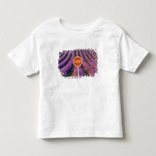 Camiseta Infantil França, Provença. Fileiras de lavanda e parar